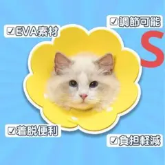 匿名配送✨Alien Pet エリザベスカラー 猫用 犬用  S/イエロー