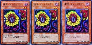 ☆遊戯王 魔草 マンドラゴラ(ノーマル) 3枚セット 303-018 即決☆