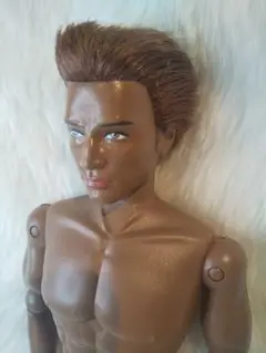 Barbie Ken バービーケン 可動ボディ 植毛 筋肉質 ダークブラウン