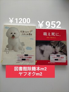 【図書館除籍本m2】犬泉くんのふわふわ毎日 主婦と生活社／編【まとめ売り】