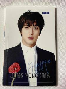 ★CNBLUE(シーエヌブルー)　ヨンファ(JUNG YONG HWA) ステッカーシール 15枚入り