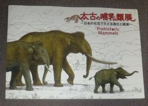 太古の哺乳類展 日本の化石でたどる進化と絶滅 図録(デスモスチルス類,ナウマンゾウ