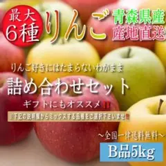 青森県産 "最大6種ミックス" りんご 家庭用 5kg 農家直送 リンゴ 林檎