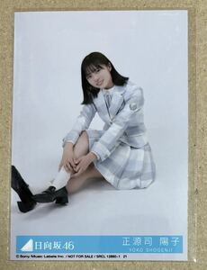 送料込み 日向坂46 君はハニーデュー 封入生写真 正源司陽子 座り