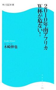 2010年南アフリカW杯が危ない！ 角川SSC新書/木崎伸也【著】