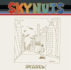 南佳孝コラボ曲「ポップアート」収録 / かせきさいだぁ / SKYNUTS / 1998年リリース / 2ndアルバム / TFCC-88125 / 