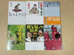 水曜どうでしょう関連6冊セット　大泉エッセイ　腹を割って話した　銀のエンゼル　けもの道　雅楽戦隊ホワイトストーンズ　ひらあやまり