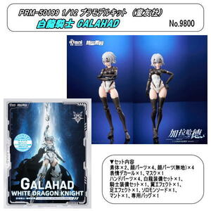 PRM-501993　1/12　プラモデルキット　龍騎士 GALAHAD（童友社）