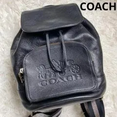 COACH 極美品 シボ革 リュックサック ビックロゴ 馬車 ブラック 巾着