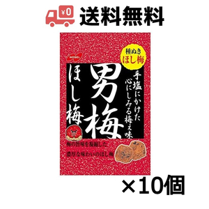 ノーベル 男梅ほし梅 20g(種ぬき） ×10個