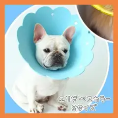 ⭐️S Alien Pet エリザベスカラー 猫用 犬用 ソ