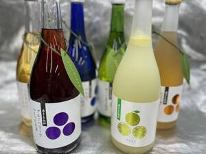 送料込みで（本州・四国のみ）蓬莱泉リキュール6本組み　梅酒など各種2024年新発売　奥三河　関谷酒造