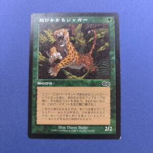 MTG/飛びかかるジャガー/Pouncing Jaguar/日本語/1枚