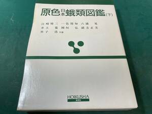 原色日本蛾類図鑑（下）　保育社　ほとんど未使用