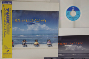 LASERDISC チューブ 夏だね/さよならイエスタデイ SRLM315 SONY /00600