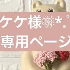 ケケ様❁⃘*.゜専用