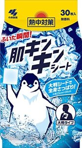 熱中対策 肌キンキンシート 大判シートで全身さっぱり 冷感 汗拭きシート 無香料 30枚 小林製薬