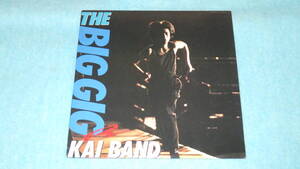 【LP】THE BIG GIG / KAI BAND　　甲斐バンド