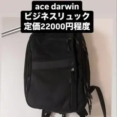 【数回程度の使用】ace darwin 廃盤 ビジネスリュック