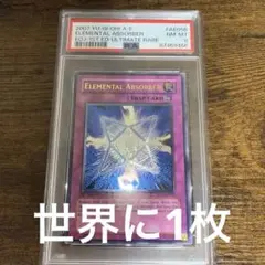 【匿名配送】PSA8 エレメンタル・アブソーバー　旧アジア