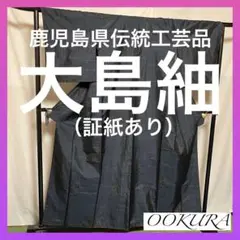 【逸品】⭐️鹿児島県伝統工芸品⭐️【大島紬】⭐️泥染⭐️生糸⭐️紬⭐️着物