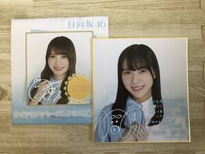 日向坂46　くじ　 ローソン サイン&メッセージ入り ミニ色紙　森本茉莉