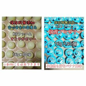 国産ゼリー KBファーム すこやかゼリー 16g 40個 プロゼリー 16g 40個 カブトムシ クワガタ 昆虫