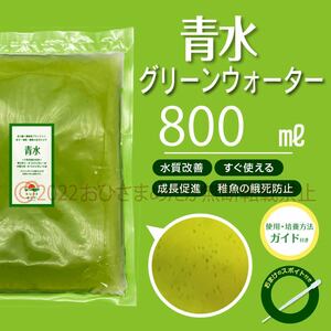 簡単便利【青水　グリーンウォーター　800ml】メダカ　めだか　金魚　熱帯魚　ミジンコ　ゾウリムシ　　PSB　針子にどうぞ　スポイト付き