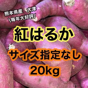 熊本県産！大津　べにはるか　紅はるか　サイズ指定なし　20kg(送料無料)