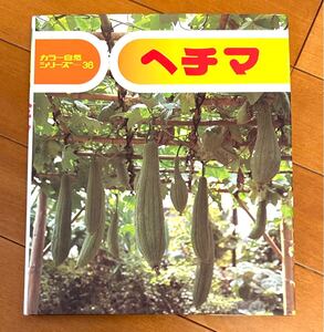 ヘチマ　カラー自然シリーズ３６　文・写真 佐藤有恒　偕成社