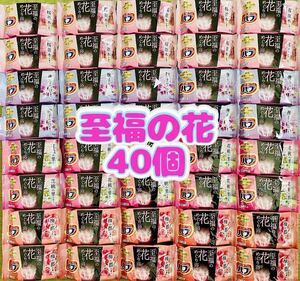 入浴剤　花王バブ　 至福の花めぐり浴　まとめ売り 4種類40個 色付き透明湯