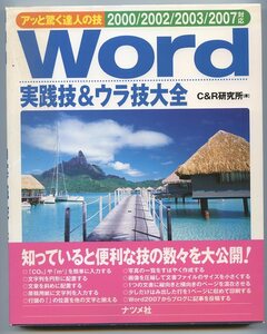 (アッと驚く達人の技）　Word実践技&ウラ技大全　　※配送料無料※　同封可能