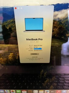 MacBookPro　16inch　M1Max　64GB　4TBSSD　USキーボード仕様　送料無料　B460