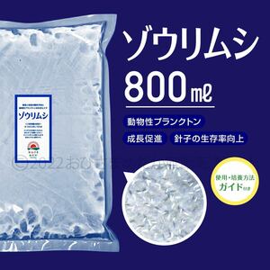 送料無料【ゾウリムシ　種水　800ml】めだか　メダカ　針子メダカ卵針子 稚魚　餌　psb　 金魚　青水　PSB　クロレラ　ミドリムシ に