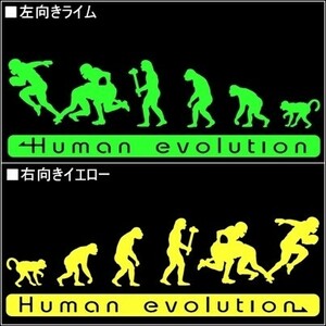 ★千円以上送料0★(20cm)人類の進化【アメフト編】アメリカンフットボール、タックル、アイシールド21好き、車のステッカーに最適(1)