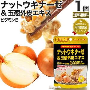 ナットウキナーゼ 納豆 納豆菌 納豆キナーゼ 玉葱 外皮 ケルセチン サプリ 72粒 約18～36日分 送料無料 メール便