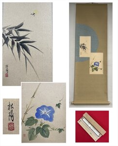 【千寿】日本画家 浜田松陽 夏之図 蛍と紫陽花 紙本 d793◆箱/茶道具/古美術/時代品/掛軸/100028056