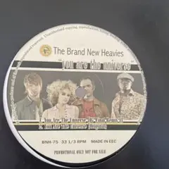 Brand New Heavies You Are The Universe