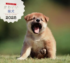 2025年カレンダー かわいい柴犬 (誠文堂新光社カレンダー)