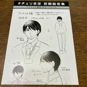 30歳まで童貞だと魔法使いになれるらしい　アニメイト限定4Pリーフレット