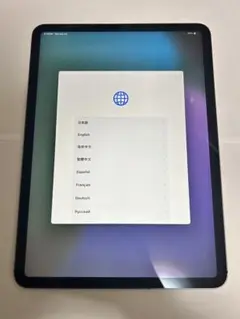 iPad Pro 11 スペースグレー cellular 256gb 第二世代