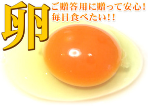 【送料無料】生みたて、卵かけごはん用、たまご80個（贈答用）