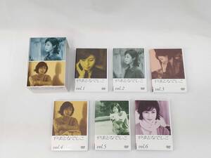 やまとなでしこ DVD-BOX 松嶋菜々子・堤真一・東幹久