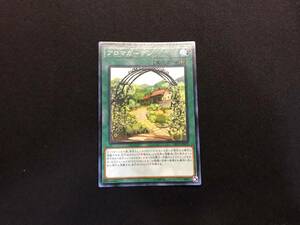 遊戯王 アロマガーデン ノーマル LVP1 アジア 亜 中古良品 在庫9