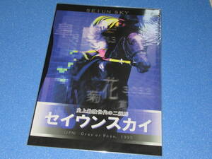 送料無料★非売品 種牡馬カタログ パンフレット☆★セイウンスカイ 1995生 鵡川産 アロースタッド 即決！史上最強世代の二冠馬 皐月/菊花賞
