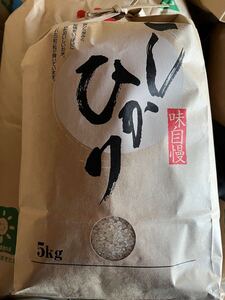 新米　令和6年産　山形県産　コシヒカリ　白米　5キロ