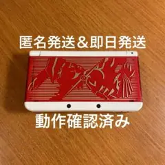 New 3DS グラードン カイオーガ きせかえプレート付