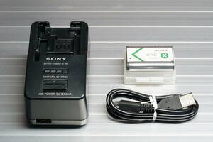 SONY ソニー アクセサリーキット ACC-TRBX 充電器 BC-TRX＋純正バッテリー NP-BX1