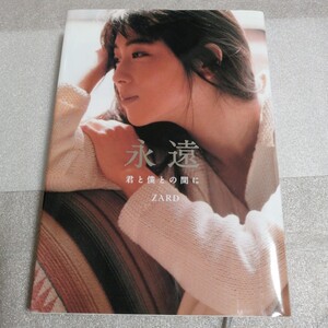 ZARD 本　永遠　君と僕との間に　負けないで　揺れる想い　ベスト　Best　 写真集 レア 坂井泉水