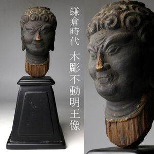 【LIG】鎌倉時代 木彫 不動明王像 仏頭 仏教美術 寺院引取品 [.EE]25.1